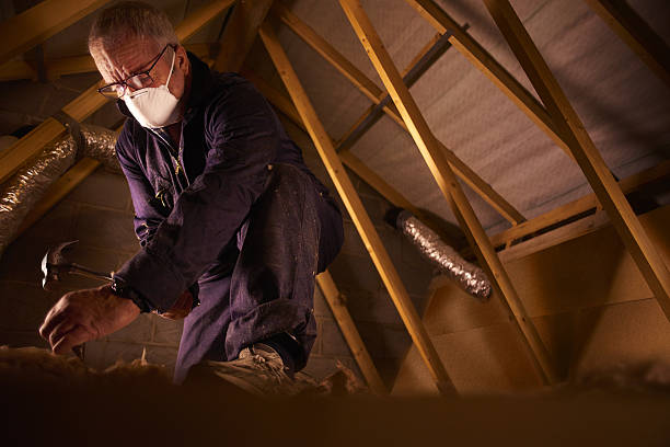 Best Residential Insulation in Spencerville, MD